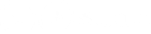 Developer